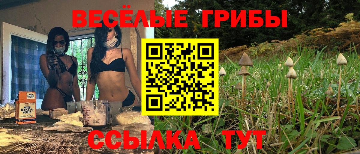 Псилоцибиновые грибы Psilocybe  Вход с VPN  Котельники 